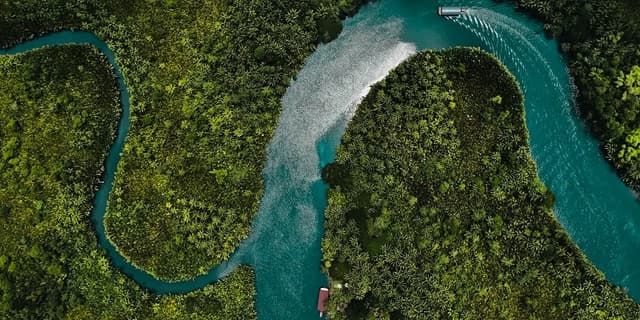 This is the sample image for the Philippines Reforestation Project of Plantd