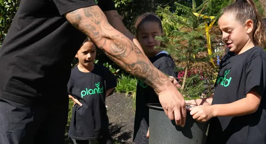 This is a gallery image