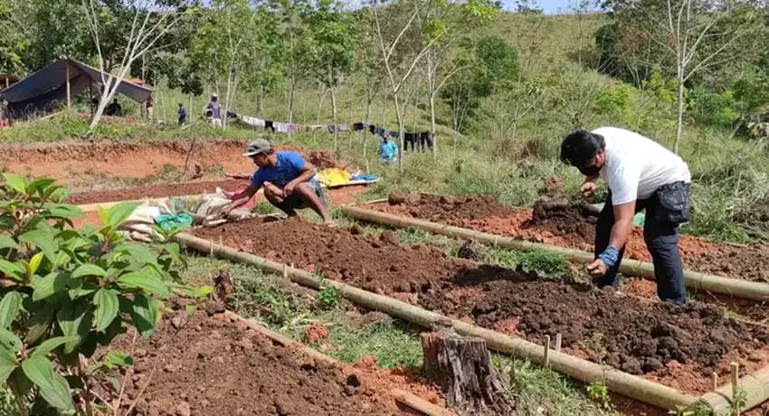 This is a gallery image