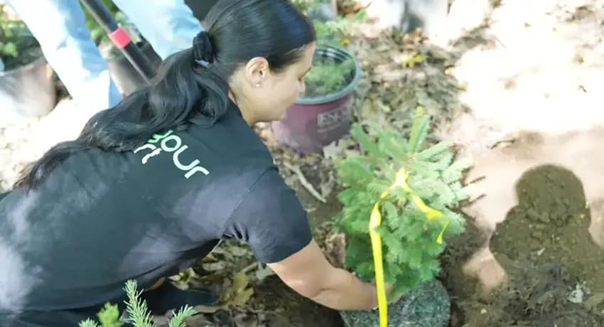 This is a gallery image