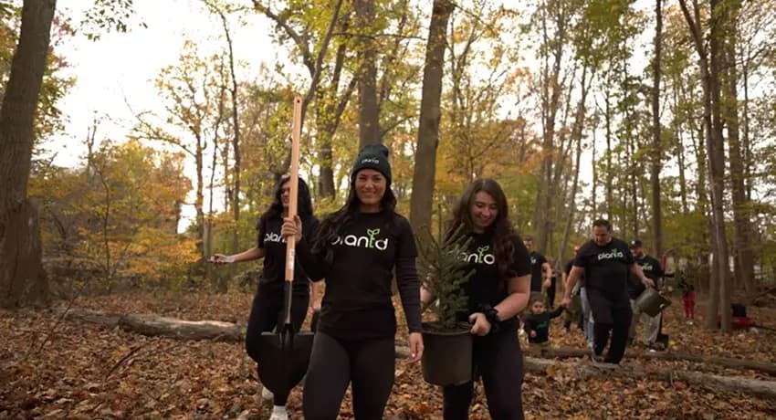 This is a gallery image