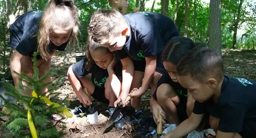 This is a gallery image