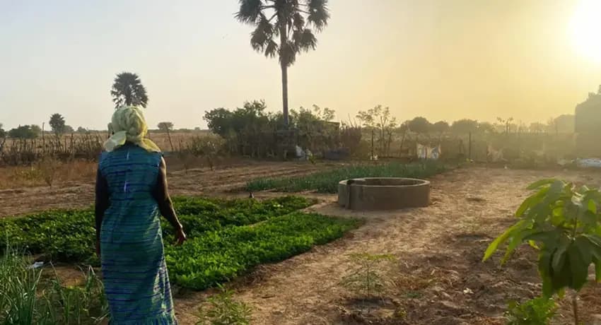 This is a gallery image